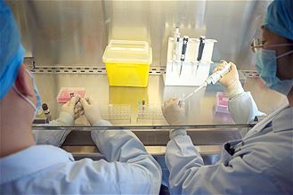Trung Quốc công bố thông tin về chủng virus H7N9
